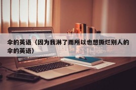 伞的英语（因为我淋了雨所以也想撕烂别人的伞的英语）