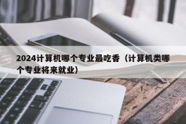 2024计算机哪个专业最吃香（计算机类哪个专业将来就业）