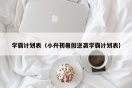 学霸计划表（小升初暑假逆袭学霸计划表）