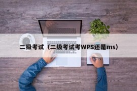 二级考试（二级考试考WPS还是ms）