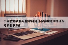 小学教师资格证报考科目（小学教师资格证报考科目代码）