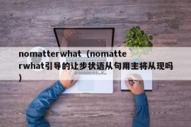 nomatterwhat（nomatterwhat引导的让步状语从句用主将从现吗）