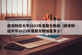 西安财经大学2023年录取分数线（西安财经大学2023年录取分数线是多少）