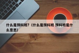 什么是预科班?（什么是预科班 预科班是什么意思）