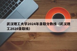 武汉理工大学2024年录取分数线（武汉理工2020录取线）