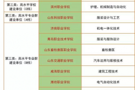 全国28所重点高职院校,全国第一批28所国家示范高职院校，是哪28所？